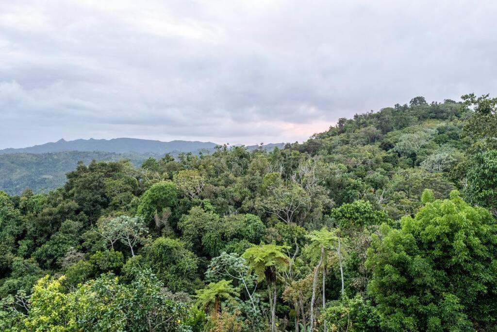 Cabin Mountain View Near Ponce Slepts 8 Екстер'єр фото
